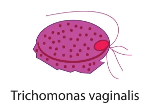 Trichomonas - Neo-Health Group